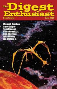 Digest Enthusiast #12 av Michael Bracken