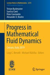 Progress in Mathematical Fluid Dynamics av Tristan Buckmaster