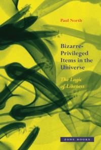 Bizarre–Privileged Items in the Universe – The Logic of Likeness av Paul North