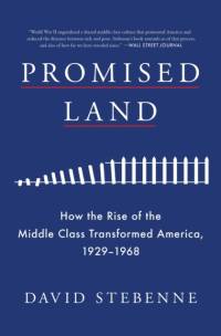 Promised Land av David Stebenne