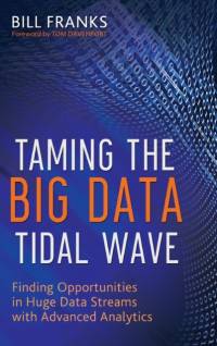Taming The Big Data Tidal Wave av Bill (Teradata) Franks