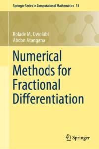 Numerical Methods for Fractional Differentiation av Kolade M. Owolabi