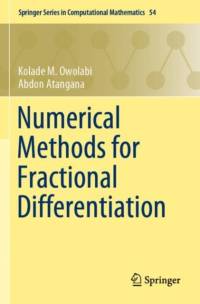 Numerical Methods for Fractional Differentiation av Kolade M. Owolabi