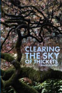 Clearing the Sky of Thickets av David Porter