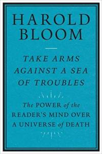 Take Arms Against a Sea of Troubles av Harold Bloom