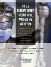 The U.S. Criminal Justice System in the Pandemic Era and Beyond av Michael J D Vermeer