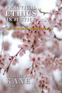 Practical Ethics in Justice av Michael Kane