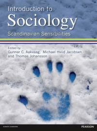 Introduction to Sociology Scandinavian Sensibilities av Michael Hviid Jacobsen