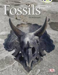Bug Club Non-fiction Gold A/2B Fossils 6-pack av Jill McDougall