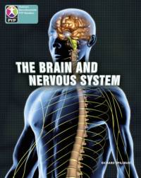 PYP L10 Brain and nervous system 6PK av Richard Spilsbury