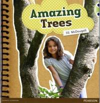 Bug Club Green A Amazing Trees 6-pack av Jill McDougall