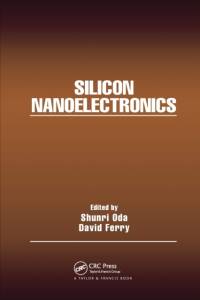 Silicon Nanoelectronics av David Ferry
