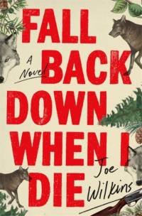 Fall Back Down When I Die av Joe Wilkins