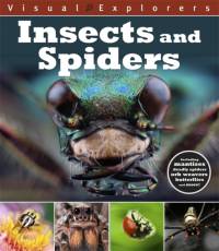Visual Explorers: Insects and Spiders av Paul Calver