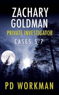 Zachary Goldman Private Investigator Cases 5-7 av P D Workman