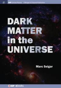 Dark Matter in the Universe av Marc S. Seigar