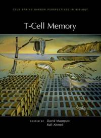 T-Cell Memory av David Masopust