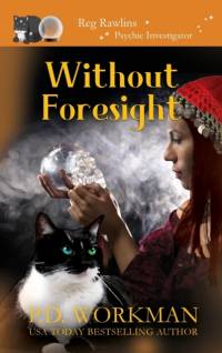 Without Foresight av P D Workman