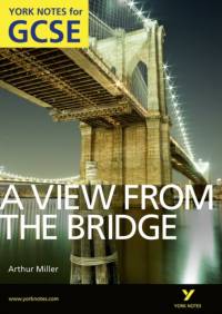 A View From The Bridge: York Notes for GCSE (Grades A*-G) av Shay Daly