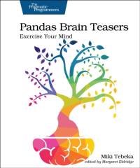 Pandas Brain Teasers av Miki Tebeka