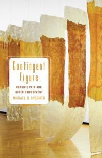 Contingent Figure av Michael D. Snediker
