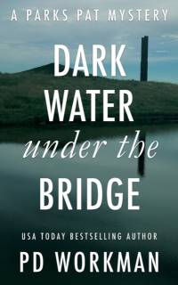 Dark Water Under the Bridge av P D Workman