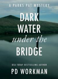Dark Water Under the Bridge av P D Workman