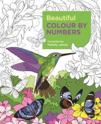 Beautiful Colour by Numbers av Felicity James