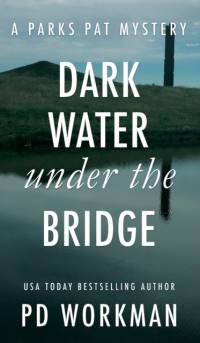 Dark Water Under the Bridge av P D Workman