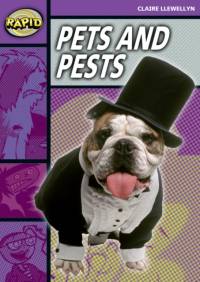 Rapid Reading: Pets and Pests (Stage 1, Level 1B) av Claire Llewellyn