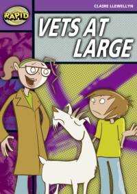Rapid Reading: Vets at Large (Stage 1, Level 1B) av Claire Llewellyn