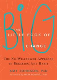 The Little Book of Big Change av Amy Johnson