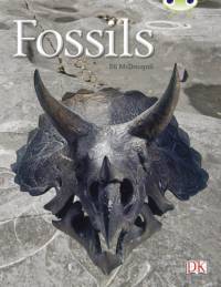 Bug Club Guided Non Fiction Year Two Gold A Fossils av Jill McDougall