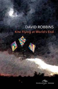 Kite Flying at World's End av David Robbins