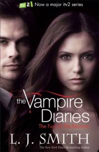 The Vampire Diaries: The Fury av L.J. Smith