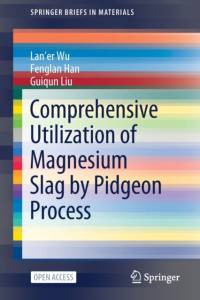 Comprehensive Utilization of Magnesium Slag by Pidgeon Process av Fenglan Han