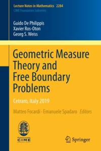 Geometric Measure Theory and Free Boundary Problems av Guido De Philippis