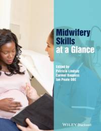 Midwifery Skills at a Glance av P Lindsay