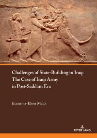 Challenges of State-Building in Iraq av Ecaterina-Elena C. Matoi