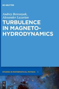 Turbulence in Magnetohydrodynamics av Andrey Beresnyak