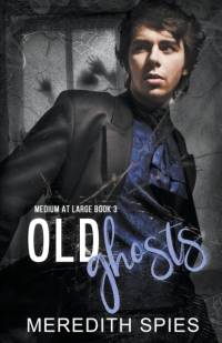 Old Ghosts av Meredith Spies