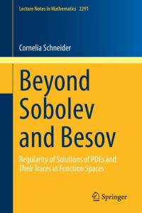 Beyond Sobolev and Besov av Cornelia Schneider