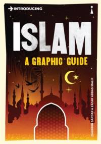 Introducing Islam av Ziauddin Sardar