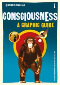 Introducing Consciousness av David Papineau