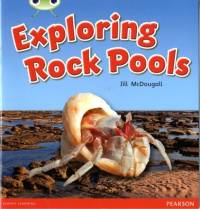 Bug Club Green C Exploring Rock Pools 6-pack av Jill McDougall