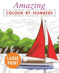 Amazing Colour-by-Numbers Large Print av Arcturus Publishing Limited
