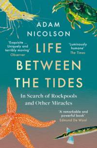 Life Between the Tides av Adam Nicolson