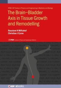 The Brain–Bladder Axis in Tissue Growth and Remodelling av Roustem N (Hamburg University of Technology Miftahof