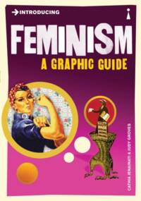 Introducing Feminism av Cathia Jenainati