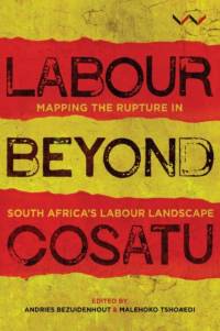 Labour Beyond Cosatu av Andries Bezuidenhout